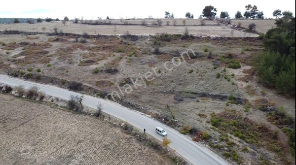 Altın Emlak Sarayköy Temsilciliğinden Satılık Tarla