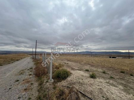 Güvenay - Çorum Akkent Toki Arkası Satılık Hobi Bahçesi