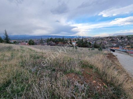 Güvenay - Çorum Ayarık Bağları Ted Koleji Altı 1 Dönüm Bağ