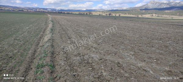 Denizli/tavas/altınova Mahallesi Çatak Mevkii Verimli Tarla.denizli Merkez'den Daire İle Takas Olur