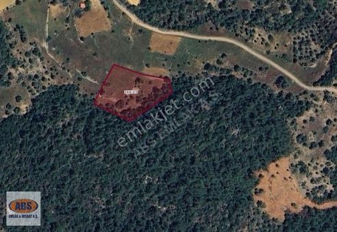 Dağpınar Köyünde Yatırımlık Arazi