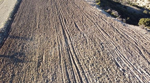 Sarayköy Altın Emlak'tan "çal -bayıralan Da Satılık Tarla"