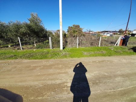 Nazilli Çapahasan Mah Müstakil Arsa Satılık