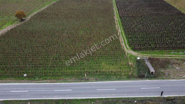 Akçapınar Köyünde 7.465 M2 Satılık Arazi