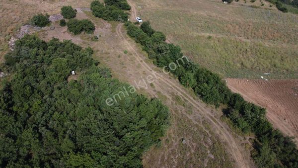 Osmaneli Oğulpaşa Köyünde 10.409 M2 Satılık Tarla