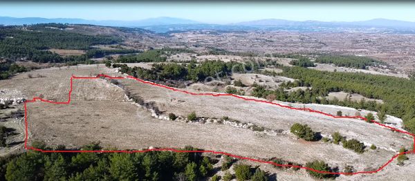 Pamukkale İlçesi-gözler Mahallesi-kavak Mevkiinde-32641 M²-satılık Tarla