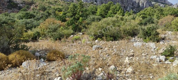 Arkadaş İnşaat Emlaktan Antalya Kumluca Yeşilköy De Satılık Deniz Ve Doğa 69 Dönüm Arazi