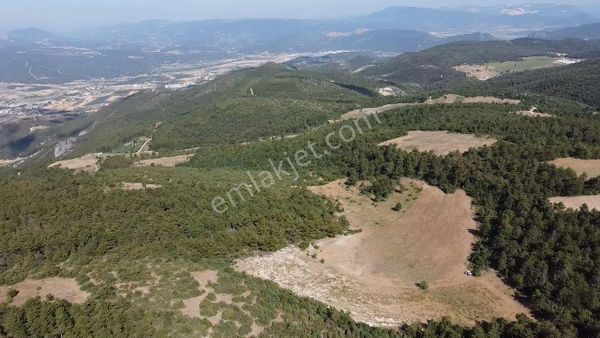 Osmaneli -balçıkhisar Köyünde 4 Tapudan Oluşan 17.435 M2 Satılık Tarla