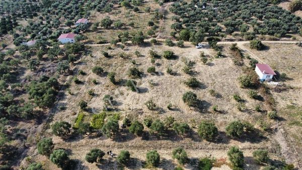 🏠demir Eml Güzel Köyde Satılık Mükemmel Konumda İncir Ve Zeytin Bahçeşı Daire Takası Olur 6275 M2