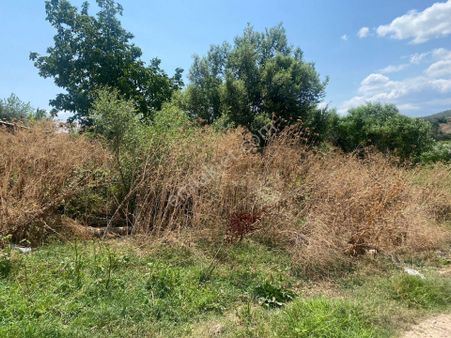 Ericek Köyünde 841 M2 İmarlı Arsa