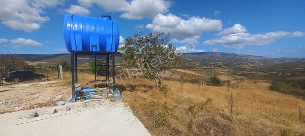 Şarköy Çınarlı Mah 16.294 M2 Yetişkin Üzüm/zeytin Ve Meyva Ağaçları Mevcut.