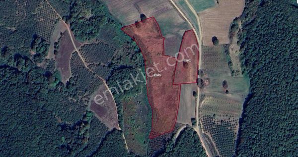 🌳 Kocaeli, Kandıra - Selim Köyü Mevkiinde 22 Dönüm Doğayla İç İçe Tek Parça Tarla 🌿