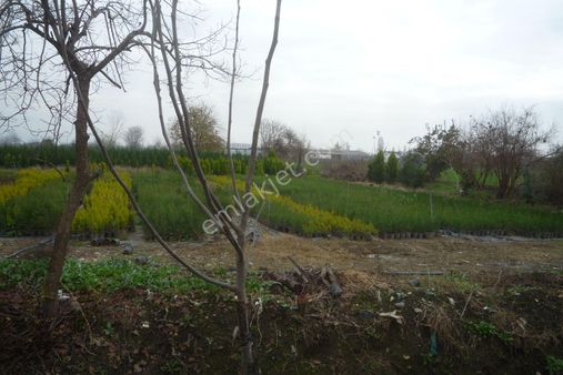 İzmir Torbalı Gold Emlaktan Satılık Tarla