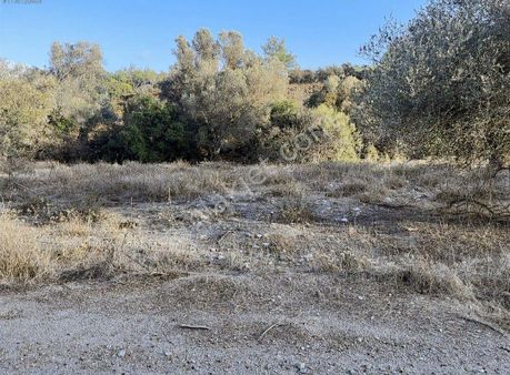 Fırsat!!! Seferihisar Kavakdere 252 M2 Elektrik Ve Su Olan Satılık Hisseli Tarla