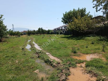 Aydın Nazilli Sümer Mh Satılık Arsa