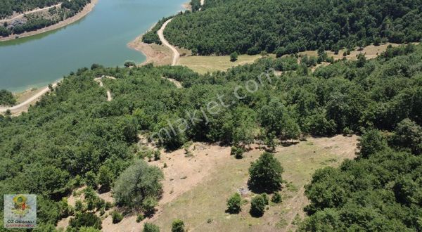 Osmaneli Oğulpaşa Köyünde 9 207m2 Tarla Acil Satılık