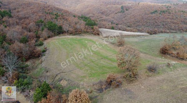 Oğulpaşa Ovasında 6.890 M2 Satılık Arazi- Osmanlı Gayrimenkul'dn