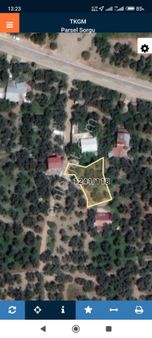 Bursa İznik Mustafalı Mah Satılık Zeytinlik