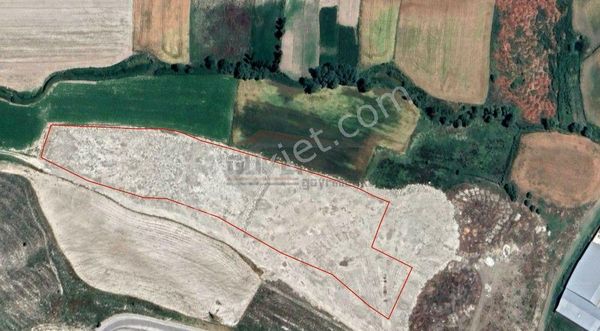 Güvenay - Çorum Ahlatcı Volkswagen Arkası 20 Dönüm Satılık Tarla