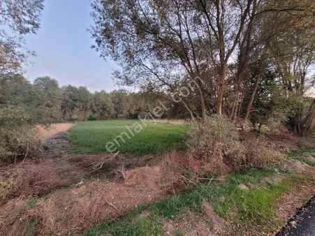 M-262 Bilecik Söğüt Satılık Hobi Bahçesine Uygun Tarla