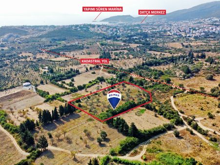 Datça Merkeze 4 Km.mesafede Satılık Zeytinlik Tarla