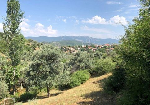 İzmir Bayındır Satılık Arsa