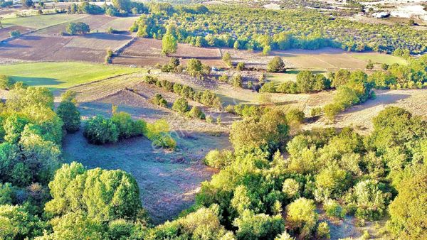 Bursa Yenişehir Çiçeközü Mahallesin'de Satılık Tarla