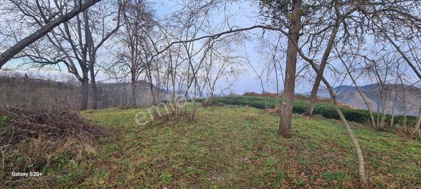 Ortahisar Esenyurt Mahallesinde 6,645 M2 Satılık Arsa