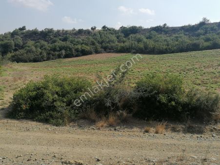 Çukurova/sögütlü De Cazip Hisse