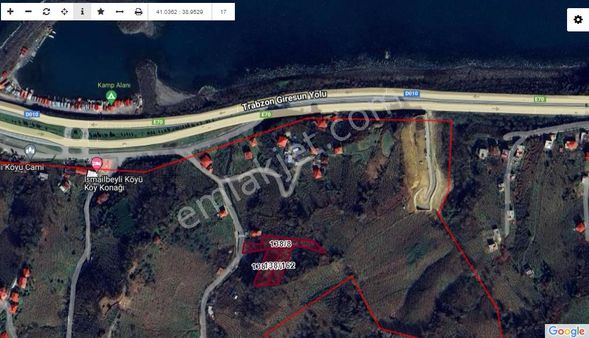 Giresun Görele İsmailbeylide Denize 150 Metre 4 Dönüm Bahçe