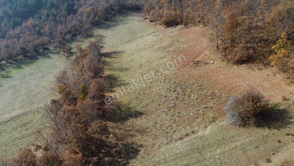 5.872 M2 Uygun Fiyatlı Doğa İçi Satılık Tarla