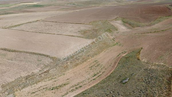 Sultandağı Pınarlı'da 14.750 M2, Tarım Ve Yatırıma Uygun Tarla