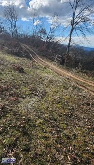 Kepsut Bükdere'de 3.853 M2 Dümdüz Yatırımlık Fırsat Arazi !