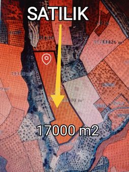 Yazıbaşında Köy Yakını 17000 M2 Zeytinlik Artezyen Suyu Mevcut