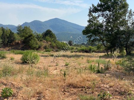 3,5 Dönüm Uygun Fiyatlı Resmı Yolu Olan Fırsat Arazı