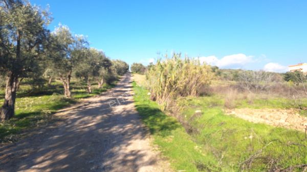 Ayrancılar Fevzi Çakmak Mahalesinde 5 Hisedarlı İmar Sınırında 2250 M Kare Satılık Tarla