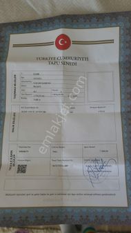 Şakran Acele Satılık Zeytınlık