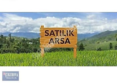 Özçukurova Emlak Dan Bozon Da 5.000 M2 Kargir Ev Limon Bahçesi