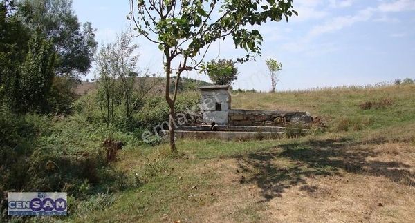 Balıkesir Sındırgı'da 1.713 M2 Yerleşime Yakın Fırsat Arazi !