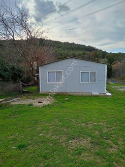 Koyuneli Mahallesinde Acil Satılık