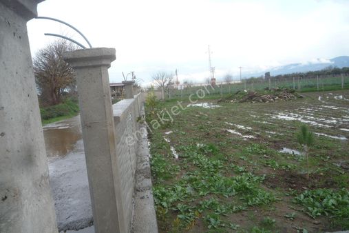 İzmir Torbalı Gold Emlaktan Satılık Kıymetli Tarla