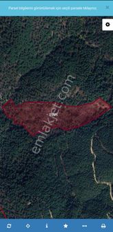 Bergama Göbeller Mah Satılık Fıstıklık