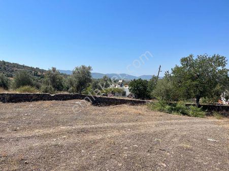 Bodrum Bahçeyakası Köy İçi Satılık Tarla