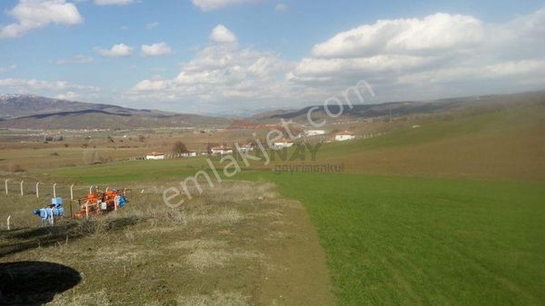 Güvenay - Çorum İskilip Yolunda Satılık 11.112 M² Çiftlik