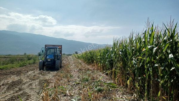 Pirlibey Ovasında Sulak 52 Dekar Satılık Arazi