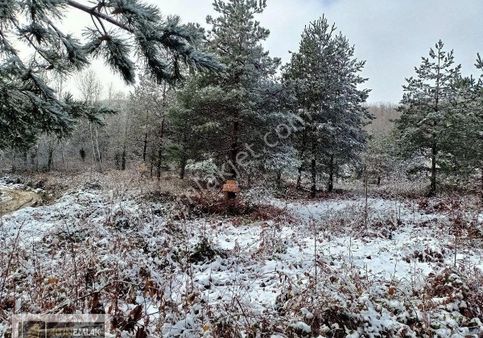 Sapanca Memnuniye De Bonglowluk Satilik Arazi