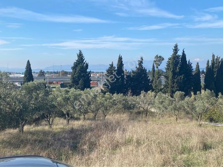 Kuşadası Türkmen Naci Akdoğan Koleji Yanı Zone 1 Villa İmarlı Arsa