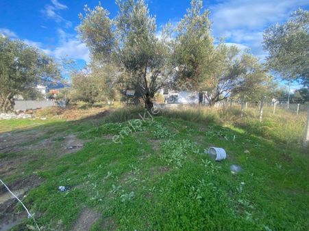 Poyraz Gayrimenkul'den Güre'de Satılık İmarlı Villalık Arsa