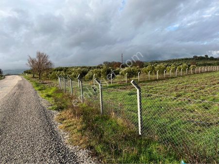 Çiftlik Depo Gibi İşyeri İçin Uygun 18 Dönüm Asvalt Dibinde Takas Olur