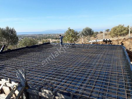 Nyc Gayrimenkul Satılık Yatırımlık Zeytin Bahçesi Tarla